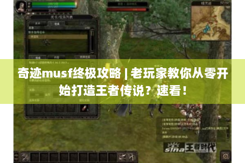 奇迹musf终极攻略 | 老玩家教你从零开始打造王者传说？速看！