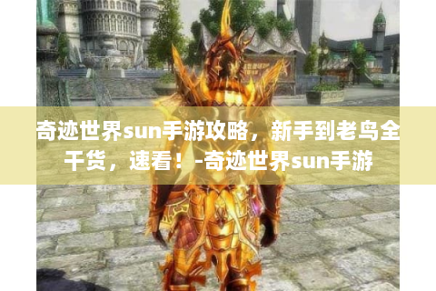 奇迹世界sun手游攻略，新手到老鸟全干货，速看！-奇迹世界sun手游