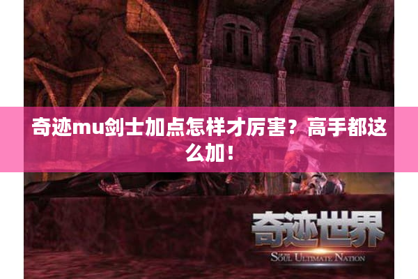 奇迹mu剑士加点怎样才厉害？高手都这么加！