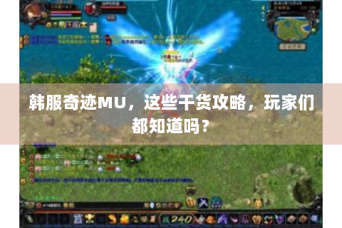 韩服奇迹MU，这些干货攻略，玩家们都知道吗？