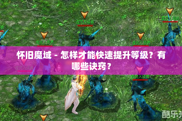 怀旧魔域 - 怎样才能快速提升等级？有哪些诀窍？