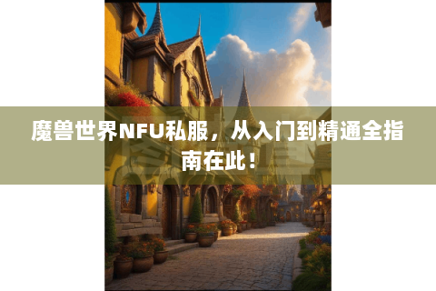 魔兽世界NFU私服，从入门到精通全指南在此！