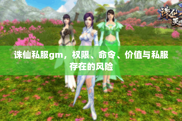 诛仙私服gm，权限、命令、价值与私服存在的风险