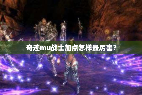 奇迹mu战士加点怎样最厉害？