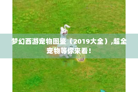 梦幻西游宠物图鉴（2019大全）,超全宠物等你来看！