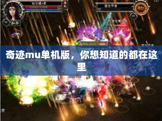 奇迹mu单机版，你想知道的都在这里