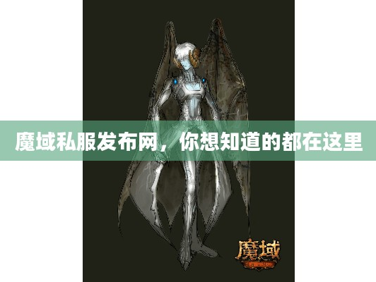 魔域私服发布网，你想知道的都在这里