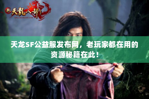 天龙SF公益服发布网，老玩家都在用的资源秘籍在此！