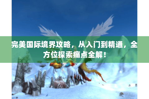 完美国际境界攻略，从入门到精通，全方位探索痛点全解！