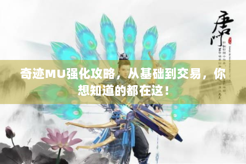 奇迹MU强化攻略，从基础到交易，你想知道的都在这！