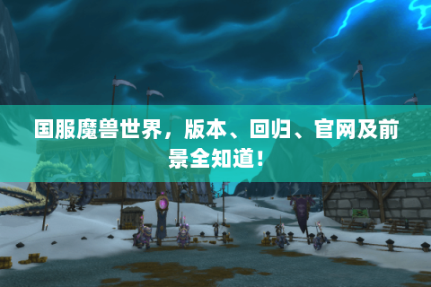 国服魔兽世界，版本、回归、官网及前景全知道！