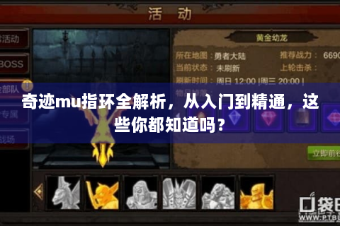 奇迹mu指环全解析，从入门到精通，这些你都知道吗？