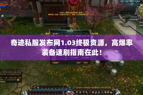 奇迹私服发布网1.03终极资源，高爆率装备速刷指南在此！