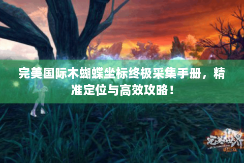 完美国际木蝴蝶坐标终极采集手册，精准定位与高效攻略！