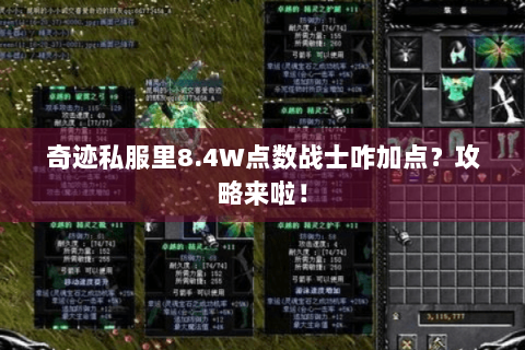 奇迹私服里8.4W点数战士咋加点？攻略来啦！