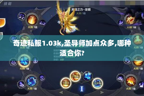 奇迹私服1.03k,圣导师加点众多,哪种适合你?