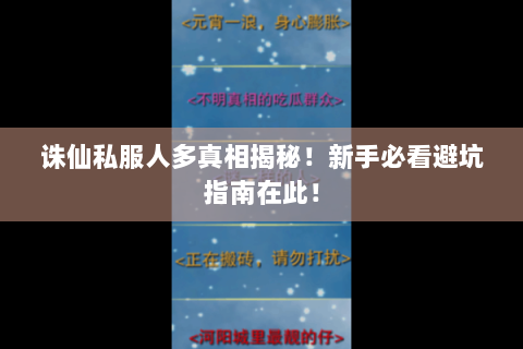 诛仙私服人多真相揭秘！新手必看避坑指南在此！