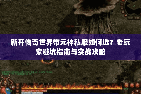 新开传奇世界带元神私服如何选？老玩家避坑指南与实战攻略