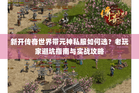 新开传奇世界带元神私服如何选？老玩家避坑指南与实战攻略