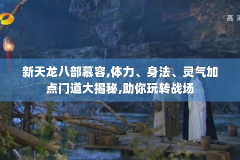 新天龙八部慕容,体力、身法、灵气加点门道大揭秘,助你玩转战场