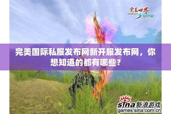 完美国际私服发布网新开服发布网，你想知道的都有哪些？