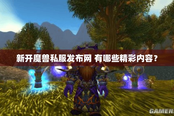 新开魔兽私服发布网 有哪些精彩内容？