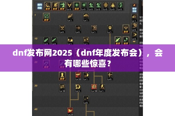 dnf发布网2025（dnf年度发布会），会有哪些惊喜？