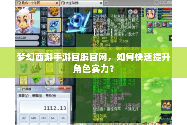 梦幻西游手游官服官网，如何快速提升角色实力？