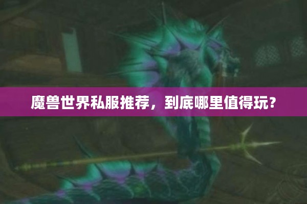 魔兽世界私服推荐，到底哪里值得玩？