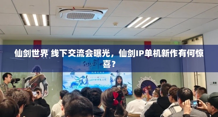 仙剑世界 线下交流会曝光，仙剑IP单机新作有何惊喜？