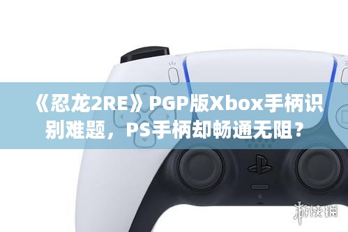 《忍龙2RE》PGP版Xbox手柄识别难题，PS手柄却畅通无阻？