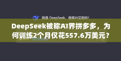 DeepSeek被称AI界拼多多，为何训练2个月仅花557.6万美元？