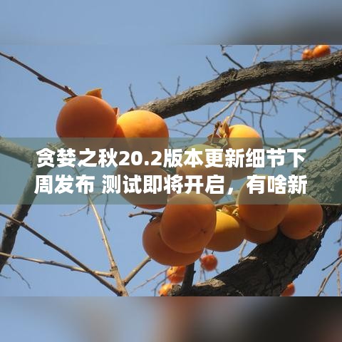 贪婪之秋20.2版本更新细节下周发布 测试即将开启，有啥新内容？