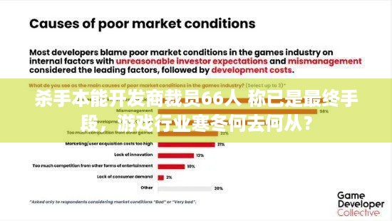 杀手本能开发商裁员66人 称已是最终手段，游戏行业寒冬何去何从？