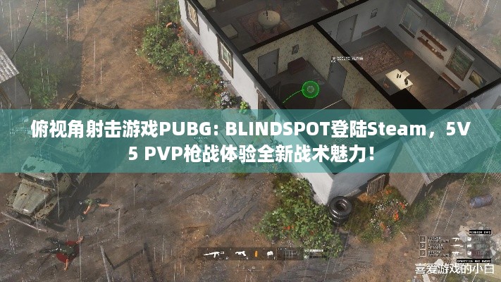 俯视角射击游戏PUBG: BLINDSPOT登陆Steam，5V5 PVP枪战体验全新战术魅力！