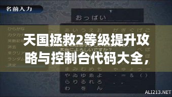 天国拯救2等级提升攻略与控制台代码大全，解决你的游戏痛点！