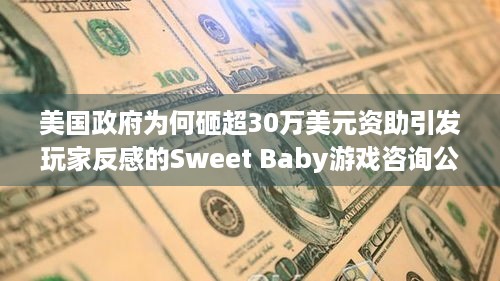 美国政府为何砸超30万美元资助引发玩家反感的Sweet Baby游戏咨询公司？