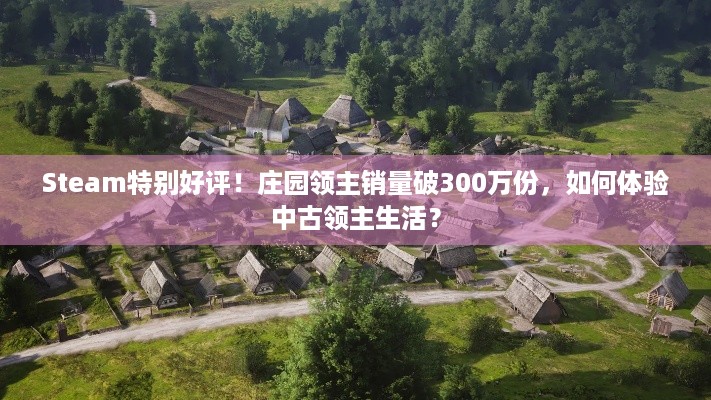 Steam特别好评！庄园领主销量破300万份，如何体验中古领主生活？