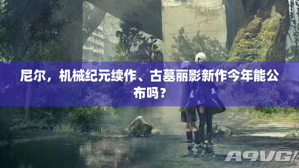 尼尔，机械纪元续作、古墓丽影新作今年能公布吗？