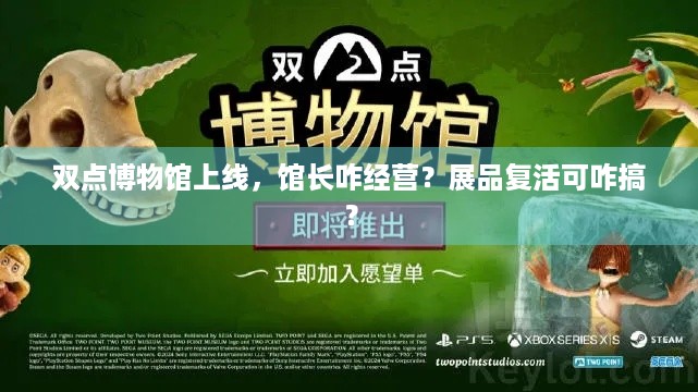 双点博物馆上线，馆长咋经营？展品复活可咋搞？