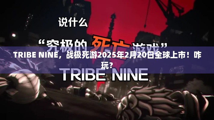 TRIBE NINE，战极死游2025年2月20日全球上市！咋玩？