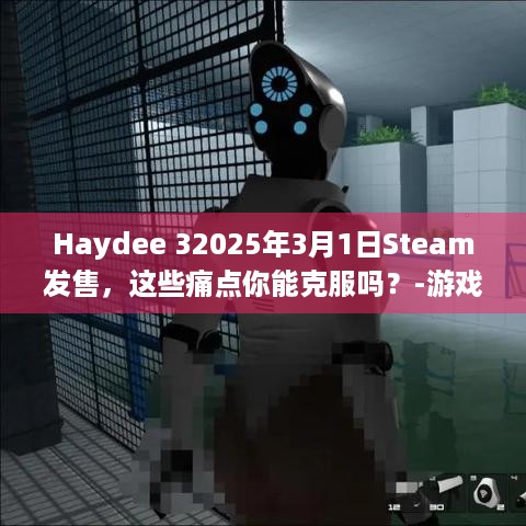 Haydee 32025年3月1日Steam发售，这些痛点你能克服吗？-游戏