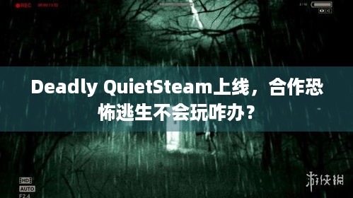 Deadly QuietSteam上线，合作恐怖逃生不会玩咋办？