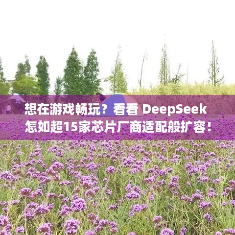 想在游戏畅玩？看看 DeepSeek 怎如超15家芯片厂商适配般扩容！ - 游戏嗨玩资讯