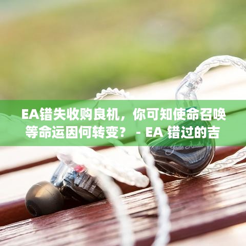 EA错失收购良机，你可知使命召唤等命运因何转变？ - EA 错过的吉他英雄使命召唤暴雪收购机会