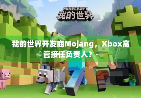 我的世界开发商Mojang，Xbox高管接任负责人？-