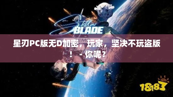 星刃PC版无D加密，玩家，坚决不玩盗版！ - 你呢？