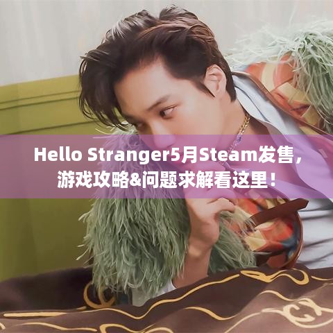 Hello Stranger5月Steam发售，游戏攻略&问题求解看这里！