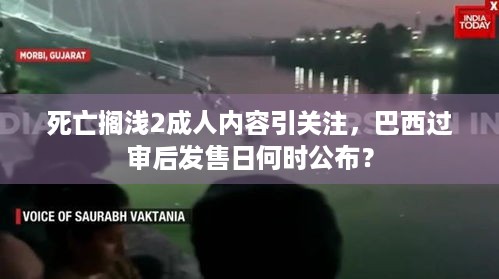 死亡搁浅2成人内容引关注，巴西过审后发售日何时公布？