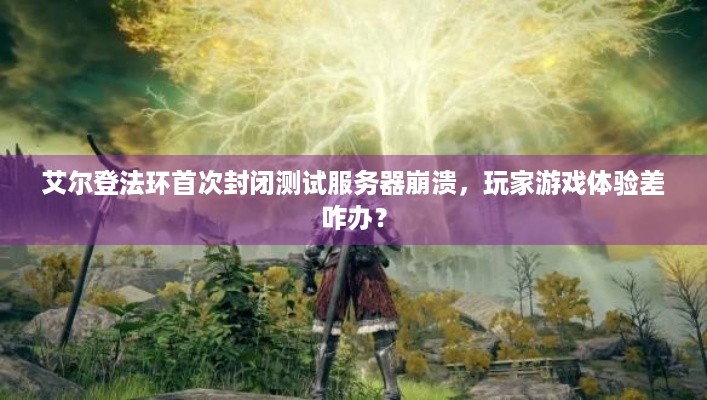 艾尔登法环首次封闭测试服务器崩溃，玩家游戏体验差咋办？